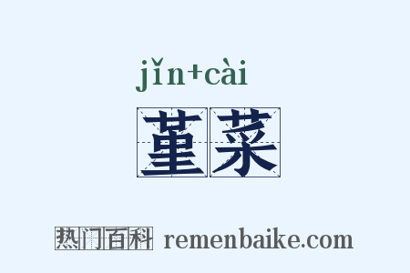 堇菜是什么意思的图片